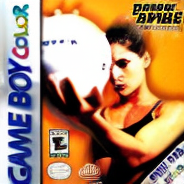 Power Spike Pro Beach Volleyball