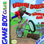 Extreme Sports with the Berenstain Bears