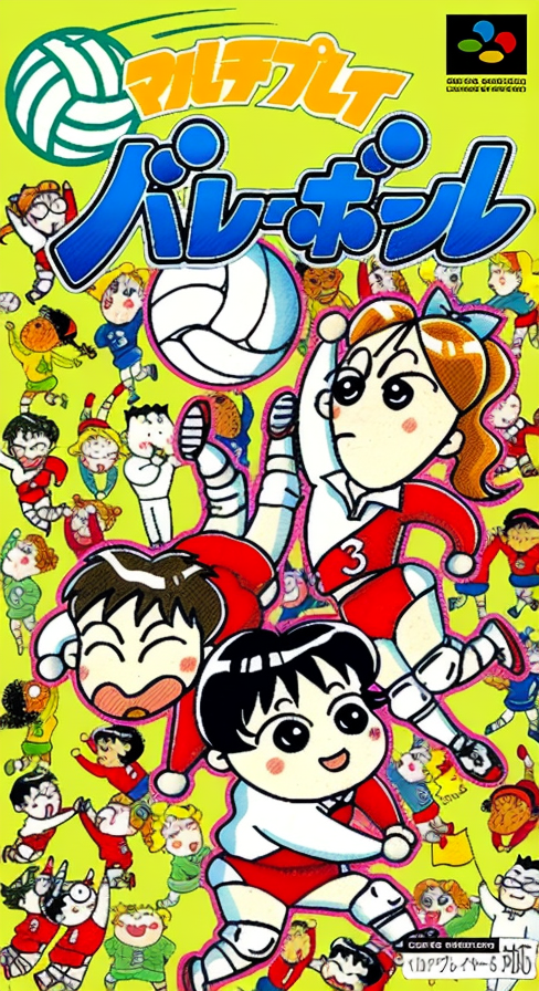 Multi Play Volleyball